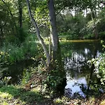 Mazurska Knieja * Milakowo