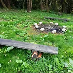 Mazurska Knieja * Milakowo