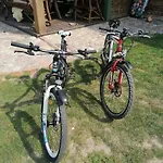 Mazurska Knieja Milakowo