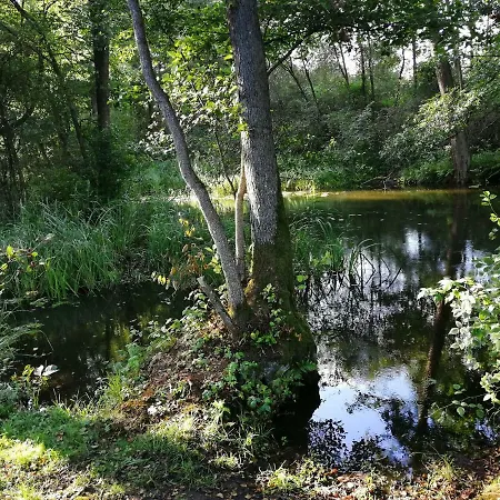 Mazurska Knieja * Milakowo