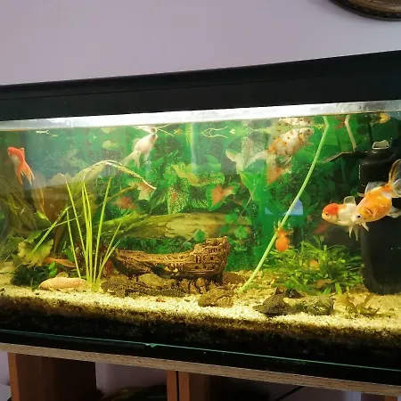 Mazurska Knieja 农家乐