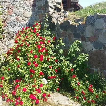 Mazurska Knieja